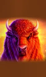 Buffalo 50